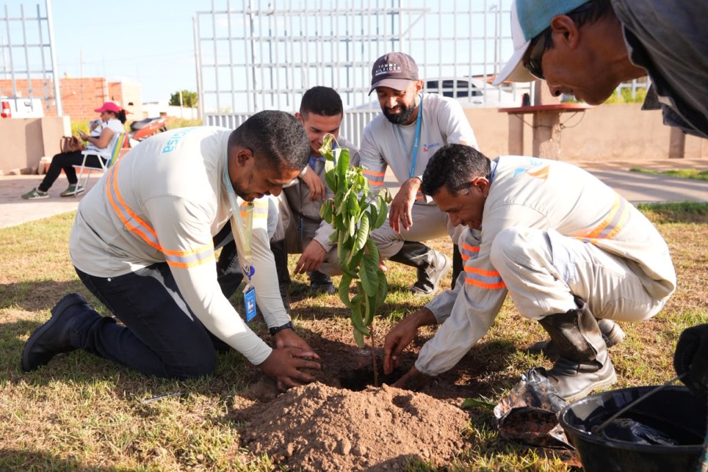 AÇÃO ECOLÓGICA